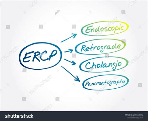 Ilustrasi Stok Ercp Endoscopic Retrograde Cholangiopancreatography ...