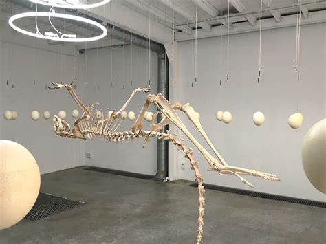 Art Orienté Objet | Meer