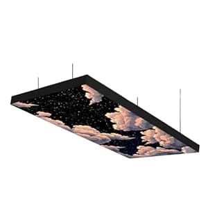 Timber Acoustics® Printed Series Ceiling Absorption Panels | Rockwool ...