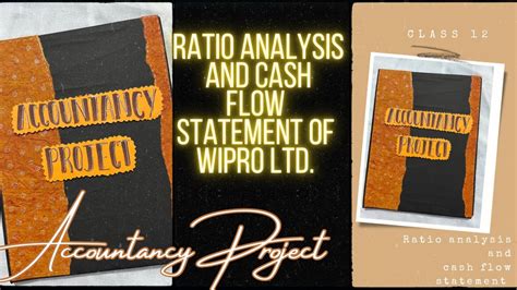 Accountancy Project Class 12 Ratio Analysis 的图像结果