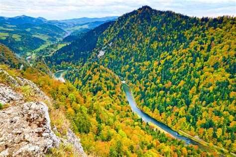 Image result for Examples of Academic Blog Posts