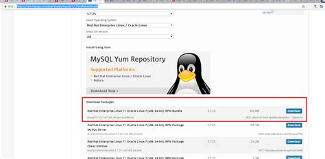 Download MySQL 5.7 Command Line Client 的图像结果