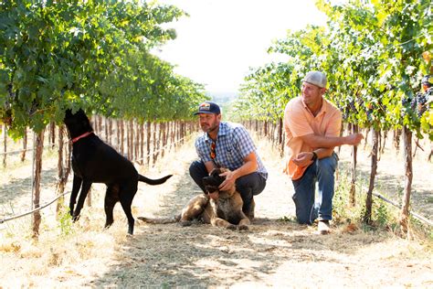 Visit Us — Two Mountain Winery