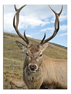 JP London Solvent Free Poster Art Print PAPL0007 Ready to Frame Deer ...