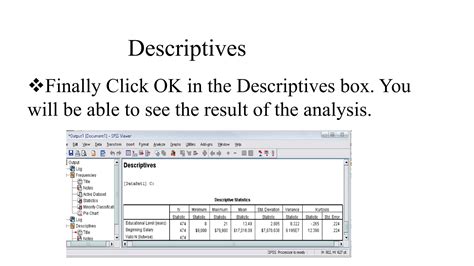 Image result for How to Use SPSS Program