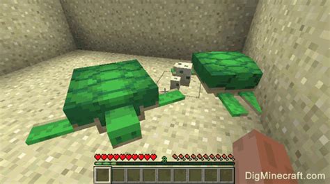 Turtle Tutorial Minecraft 的图像结果