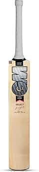 GM Icon F2 Select Kashmir Willow Cricket Bat, Short Handle - Price History