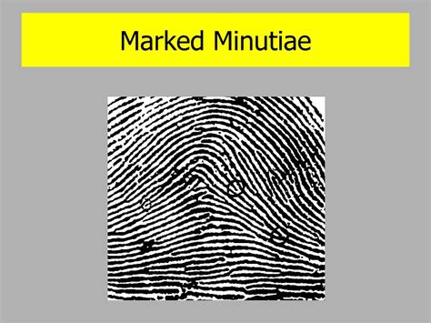 Image result for Forensic Science Introduction