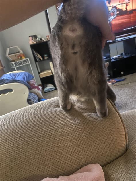 [OC] My little monster stares at me like this while I am working. What ...