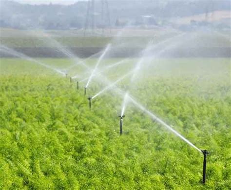 沼液灌溉-[官网]网世灌溉设备