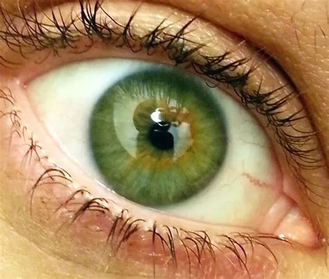 Vivitar/xit for canon eos rebel Wide Angle Lens for Canon EF 75-300mm ...