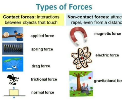 physics chapter 4 with types of forces - Brainly.in