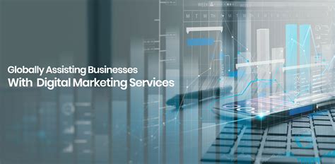 Business Consulting Services - Ecommerce Consultant Indore – Evitamin ...