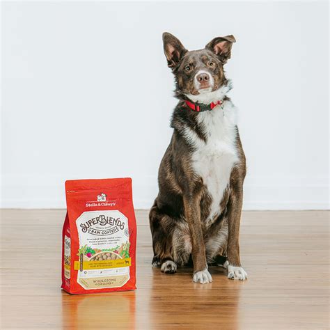 SuperBlends Coated Kibble: Chicken & Duck + Superfoods | Stella & Chewys – Stella & Chewy's
