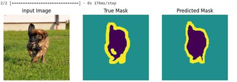 Image Segmentation Using Unet Tensorflow 的图像结果