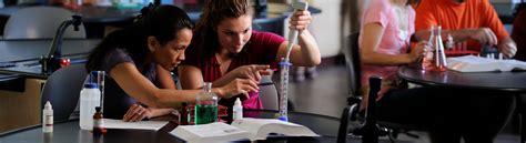 Image result for BS Program