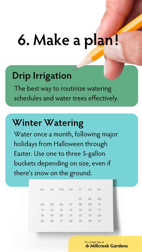 Planting Tree Guide NParks 的图像结果