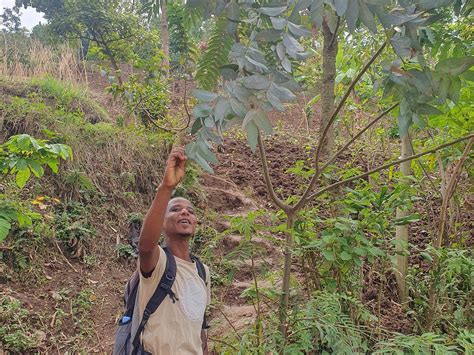 KABENDERA RWANDA HIKE (2025) All You Need to Know BEFORE You Go (with ...