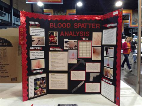 Creative Project Display Boards