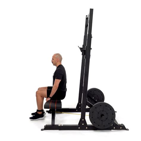 Exercises - Trainwell