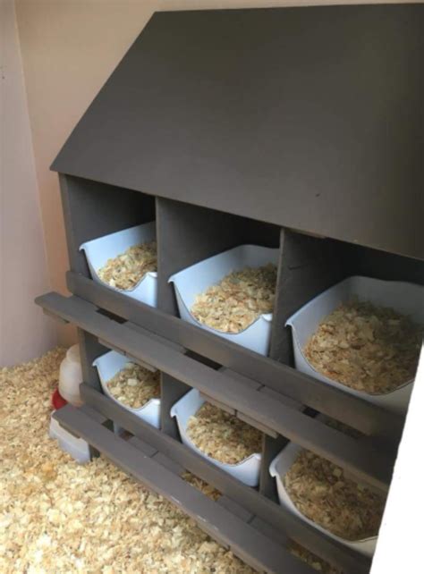 Chicken Roost And Nesting Boxes at Lauren Gunter blog