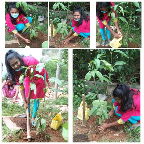 Photo Gallery- Govt Rajmohini Devi Girls PG College, Ambikapur