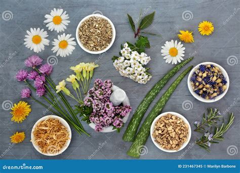 Natural Herbal Medicine 的图像结果