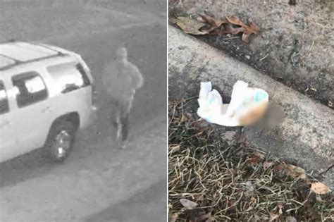 Image result for Poop Bandit