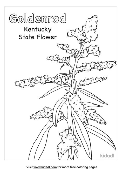 Kentucky State Coloring Pages Outline Usa Map States Flag Sketch ...