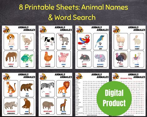 Animals Images With Names For Kids