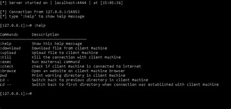 Python Reverse Shell 的图像结果
