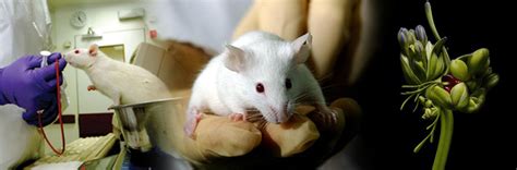 International Journal of Advanced Life Sciences - Welcome to IJALS