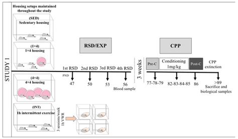 Effect of Voluntary Wheel-Running Exercise on the Endocrine and ...