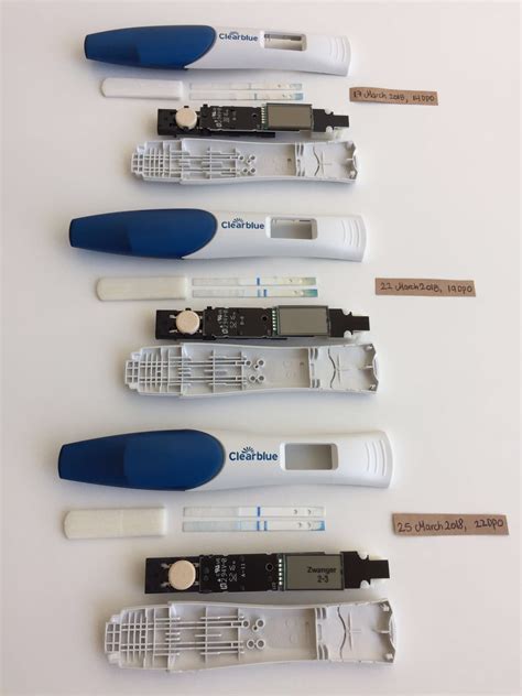False Negative Clear Blue Digital Pregnancy Test Strips Inside ...