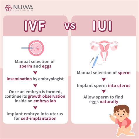 IVF in Taiwan: Process, Success Rate & Cost | NUWA Fertility Center