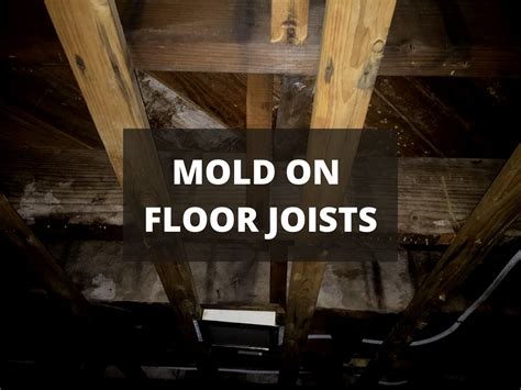 How To Get Rid Of Mold In Basement Floor – Clsa Flooring Guide