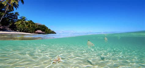 Wakaya Island Beach, Wakaya Island Beach Fiji Holidays Tour.