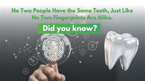 Teeth Fact: Discover Unique Teeth Patterns: No Two Are Alike