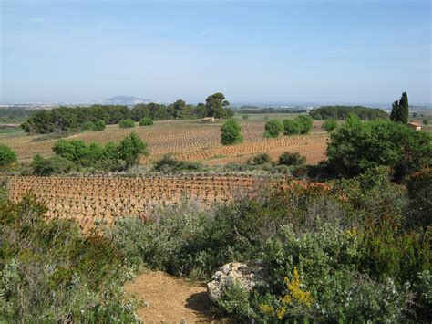 THE 5 BEST Places to Visit in Pinet (2025) - Must-See Attractions