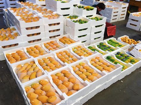 2022年中国鲜果分销市场分析_水果_消费量_共研