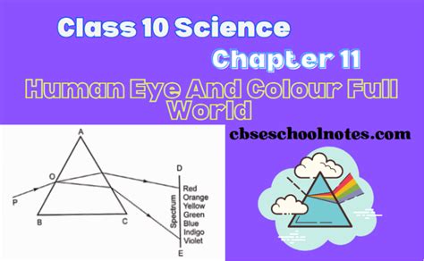 Class 10 Science Chapter 11 Topic Eyes 的图像结果