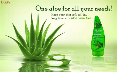 Lilium Regenerating Aloe Vera Face & Body Gel, 120ml : Amazon.in: Beauty