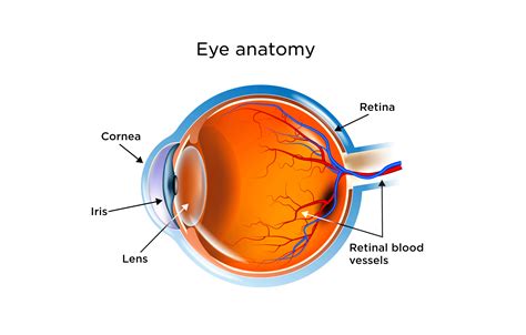 Central Serous Retinopathy Symptoms
