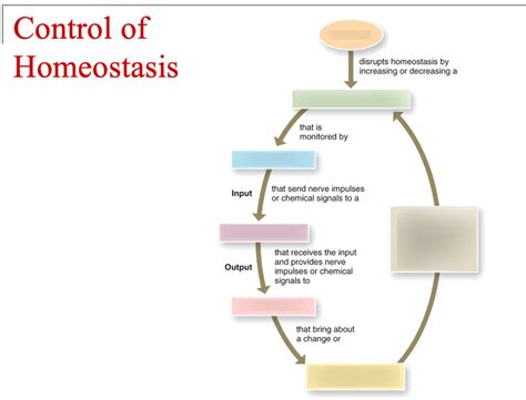 Homeostasis Control System 的图像结果