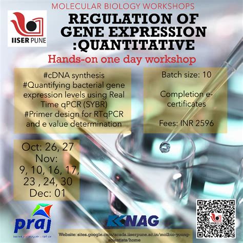 Molecular Biology Workshops on 'Regulation of gene expression ...