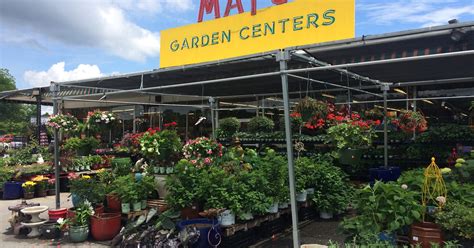 Mayo Garden Center celebrating 140 years as oldest business in Knoxville