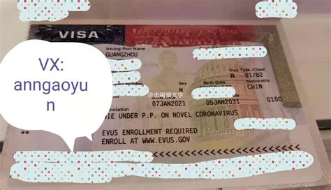 领事馆解答往来中国签证常见疑问_护照_要求_证件