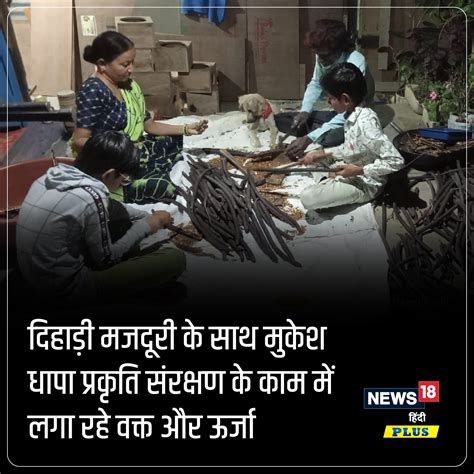 दिहाड़ी मजदूर ने बनाया दुर्लभ पौधों का सीड बैंक, मुफ्त बांटकर चलाई ...