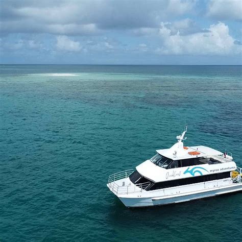 DUNK ISLAND REEF ADVENTURES (2026) All You Need to Know BEFORE You Go ...