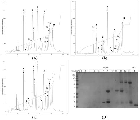 Intraspecific Differences in the Venom of Crotalus durissus cumanensis ...